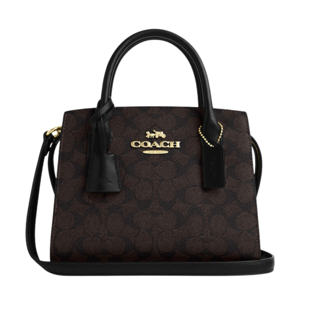 Coach Andrea Carryall Bag in Signature Canvas